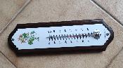 Thermomètre plaque émaillée sur bois motif fleur plante 33 cm: le top Arémail Emalia