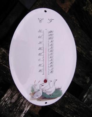 Grand thermomètre émail à l'ancienne décor Oies ovale Arémail Emalia