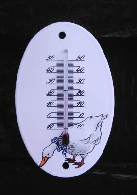 Thermomètre émaillé ovale motif oies thermomètre extérieur décoratif 