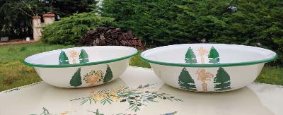  2 Saladiers Jardin émail Jardin 26 cm: vaisselle extérieure incassable