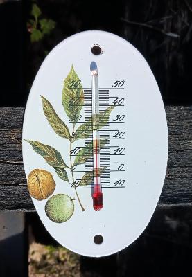Thermomètre émaillé ovale feuilles fruits arbre thermomètre extérieur décoratif 