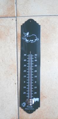 Thermomètre extérieur décoratif émaillé vert lapin 30 cm: thermomètre émail et cetera